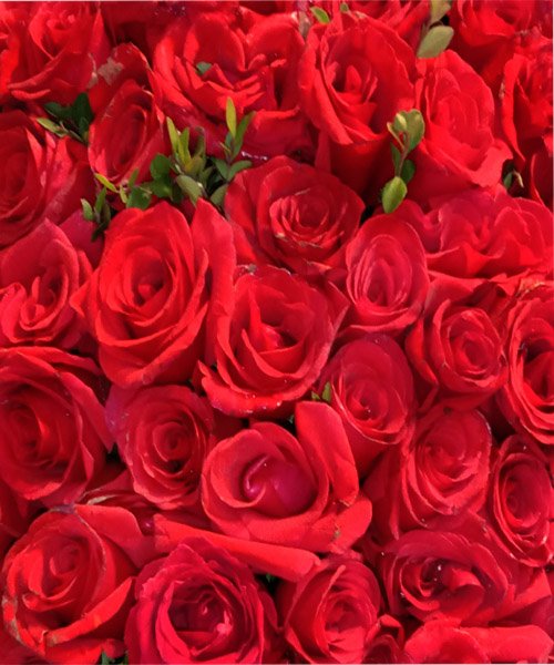 Fresh Roses Bunch thumbnail 2